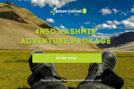 4N5D Kashmir Adventure Package