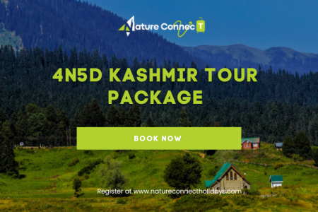 4N5D Kashmir Tour Package