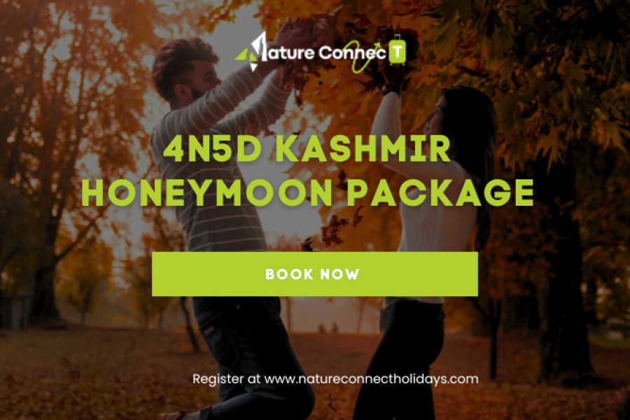 4N5D Kashmir Honeymoon Package