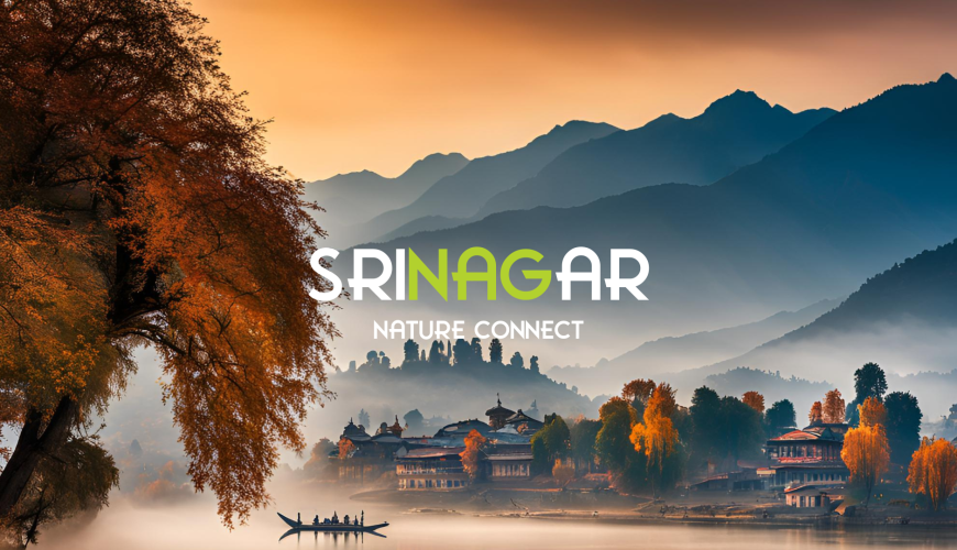 Srinagar