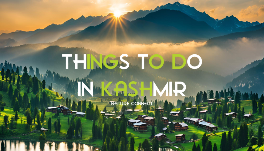 Things to do in Kashmir