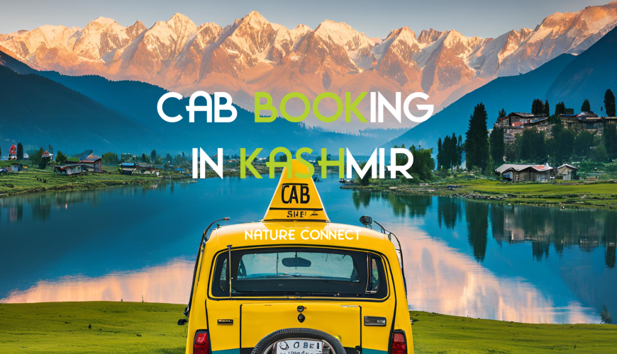 Cab Booking In Kashmir