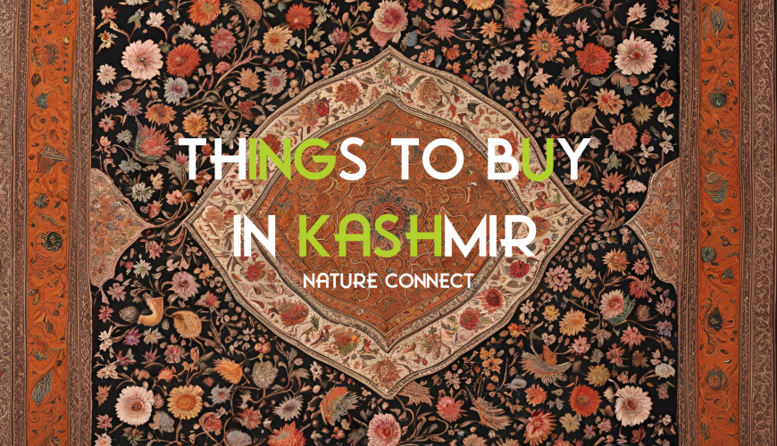 Things to buy in Kashmir