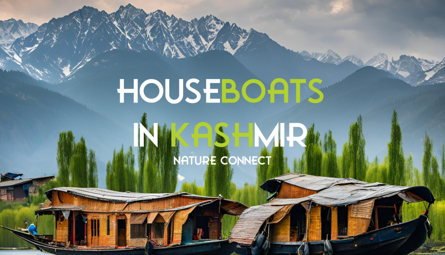 Houseboats in Kashmir: A Timeless Experience on the Waters