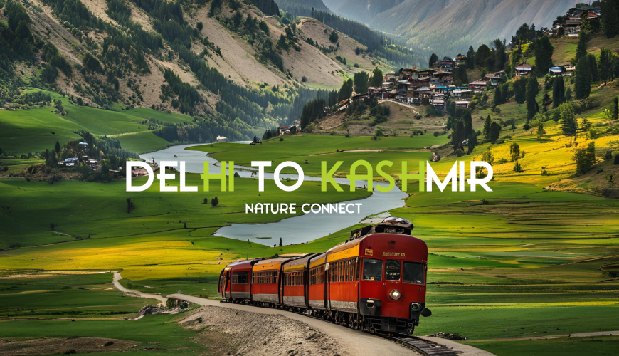 How to Go to Kashmir from Delhi: Your Complete Travel Guide