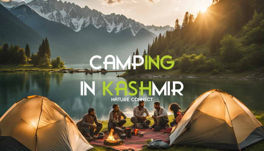 Camping In Kashmir