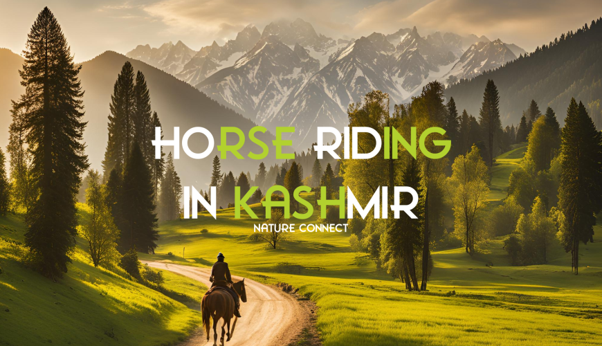 Horse Riding In Kashmir