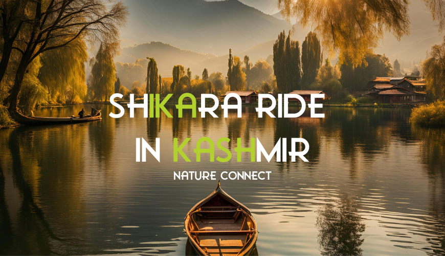 A Shikara Ride on Dal Lake