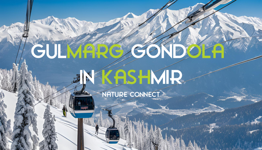 Gulmarg Gondola: A Journey Above the Clouds in Kashmir