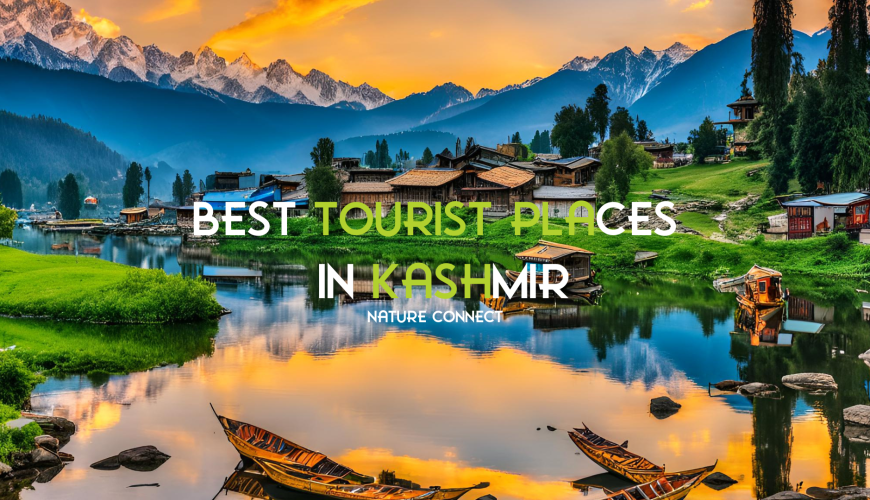 Best Tourist Places in Kashmir