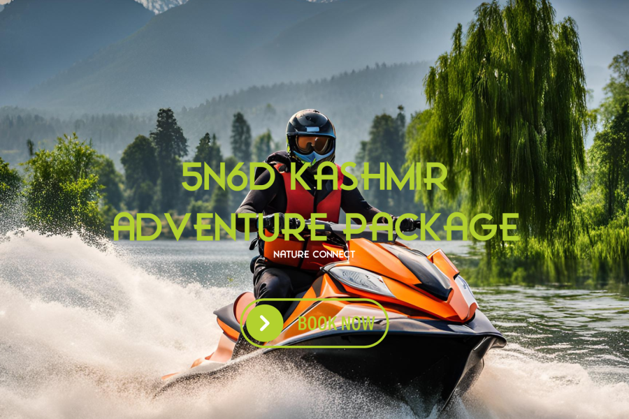 5N6D Kashmir Adventure Package