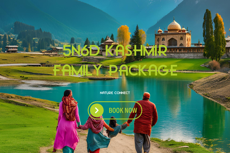 5N6D Kashmir Family Tour Package