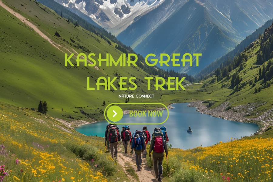 Kashmir Great Lakes Trek