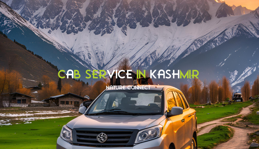 Reliable Cab Services in Kashmir | Book Affordable Taxis with Nature Connect 33 Reliable Cab Services in Kashmir