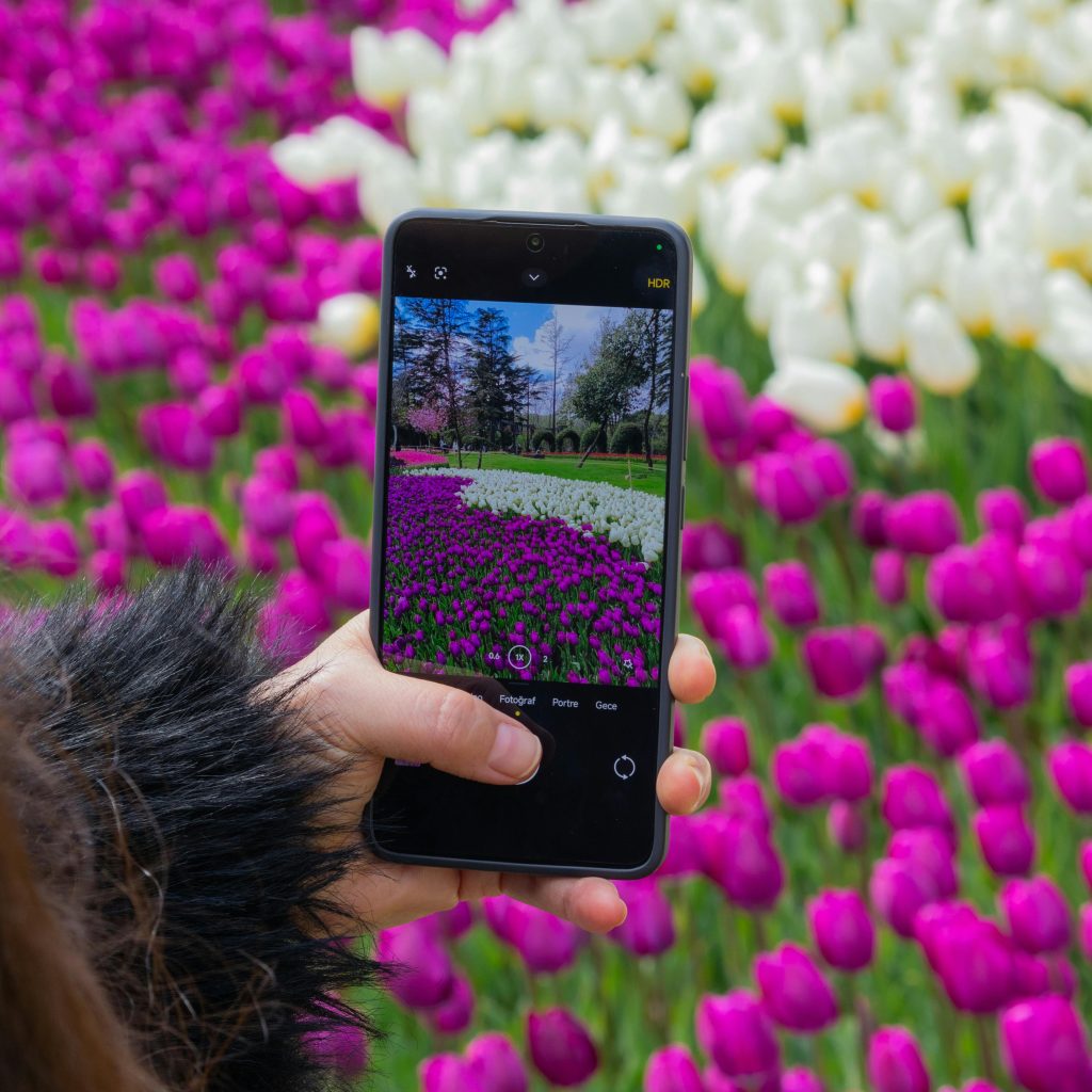 Asia's Largest Tulip Garden