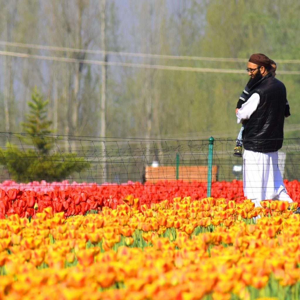 Asia's Largest Tulip Garden