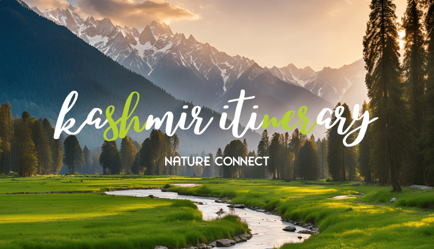 Kashmir Itinerary 8 Kashmiri itinerary