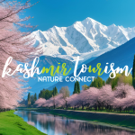 kashmir tourism in spring