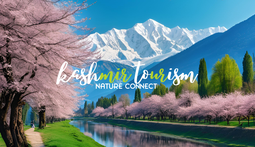 Kashmir Tourism 42 kashmir tourism in spring
