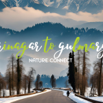 srinagar to gulmarg