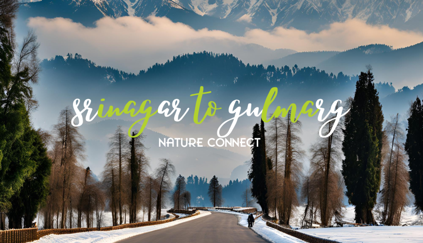 Srinagar to Gulmarg Taxi Fare 2025 15 srinagar to gulmarg