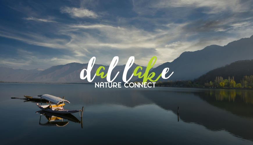 Dal Lake 21 dal lake kashmir