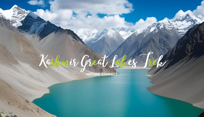 Kashmir Great Lakes Trek with Nature Connect 30 Kashmir Great Lakes Trek