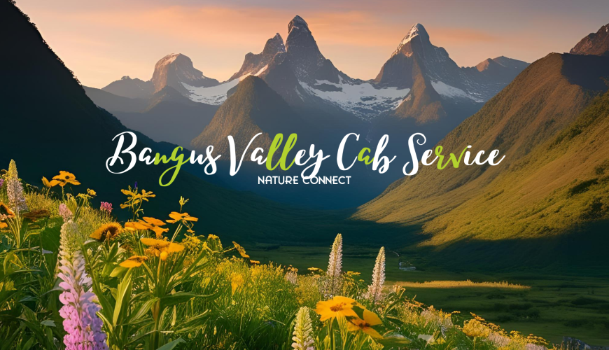 Bangus Valley Cab Service 40 bangus valley cab service
