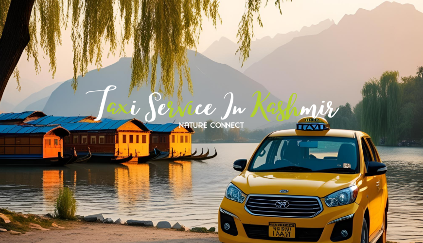 Taxi Service in Kashmir 99 Taxi Service In Kashmir