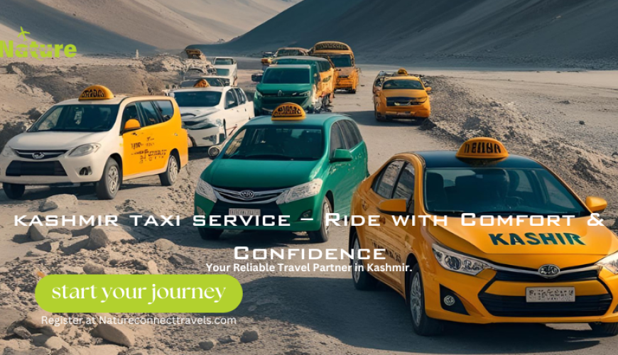 Kashmir Taxi Service 20 Kashmir Taxi Service