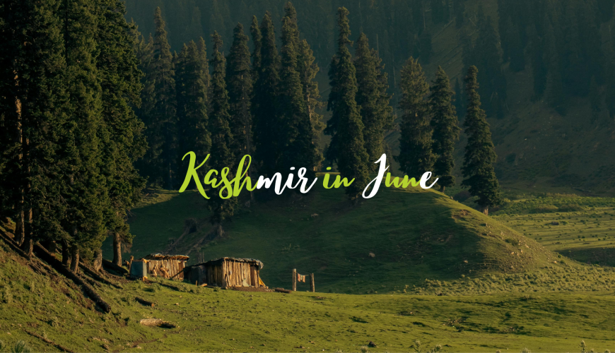 Kashmir in june 14 Kashmir in June