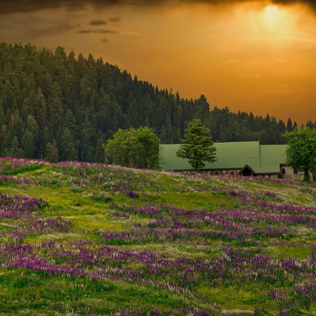 Kashmir in June