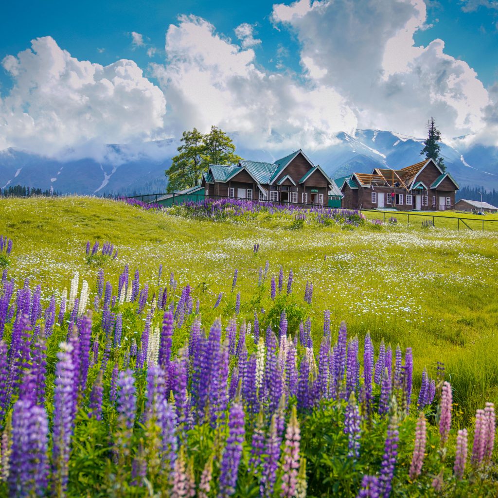 Kashmir in May