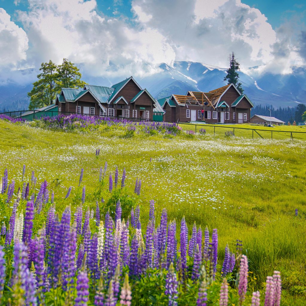 Kashmir in May