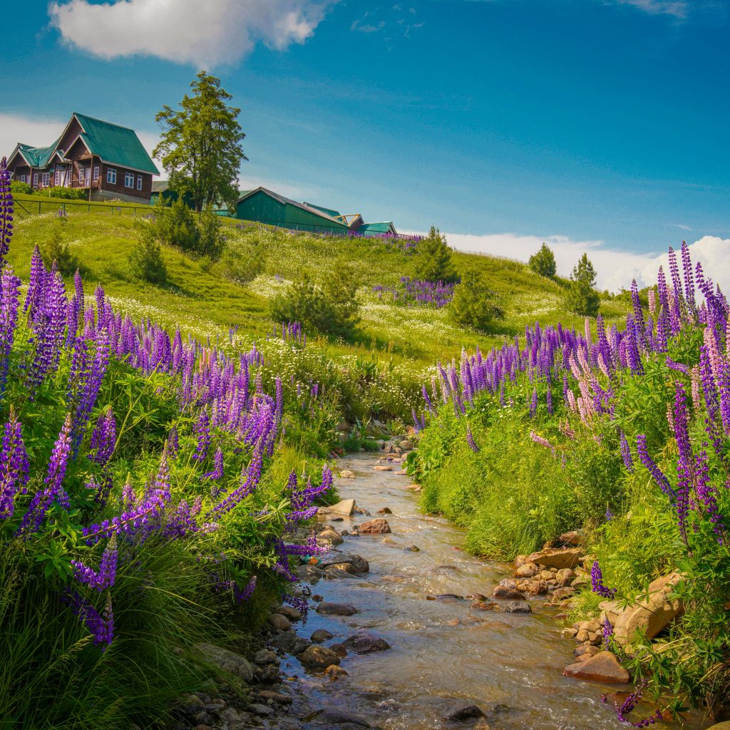 Kashmir in May