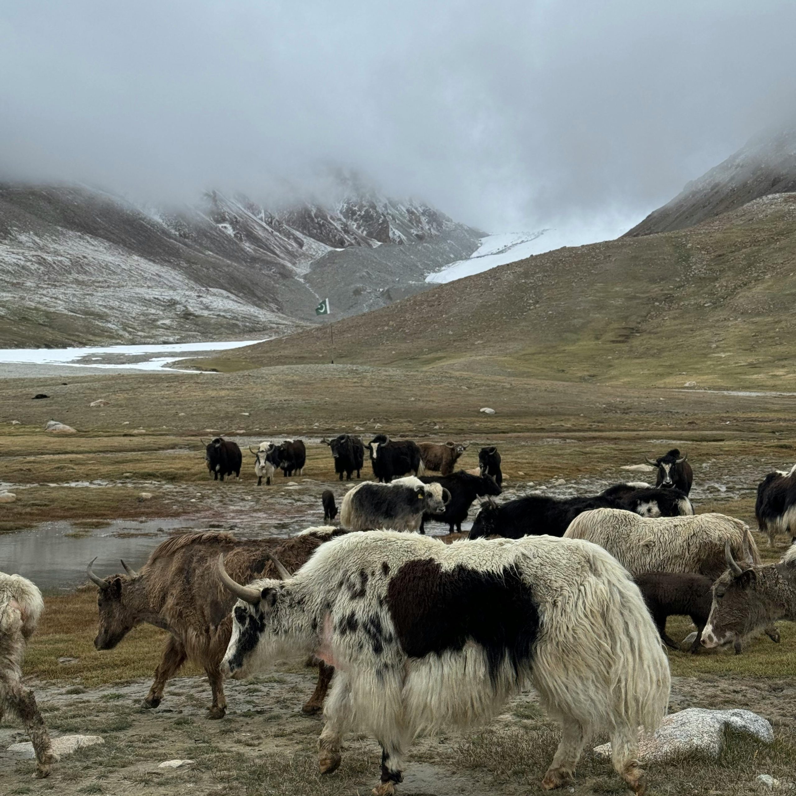 Leh Ladakh