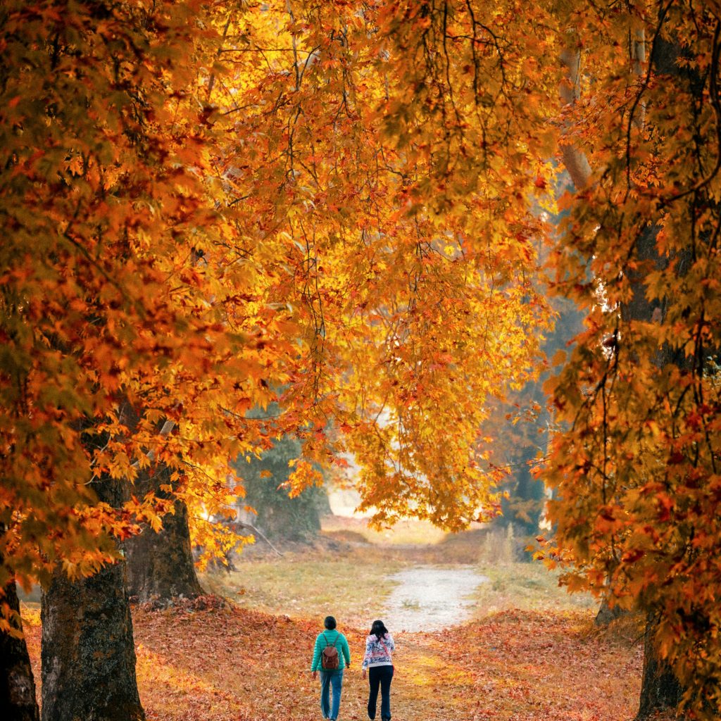 Srinagar mughal garden
