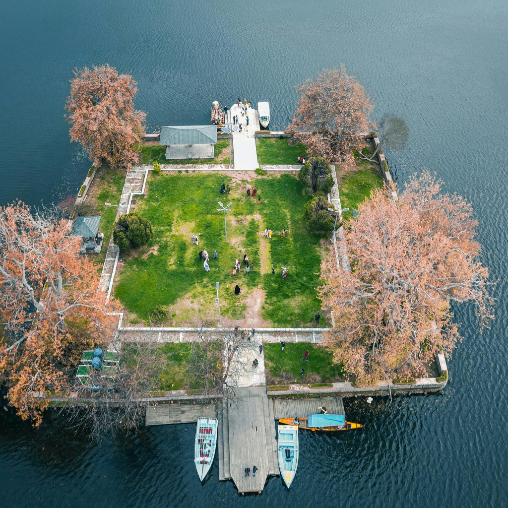 Srinagar Char chinar