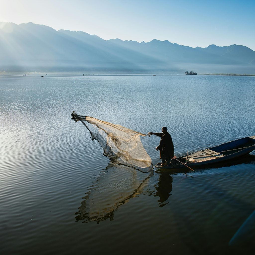 Kashmir in June
