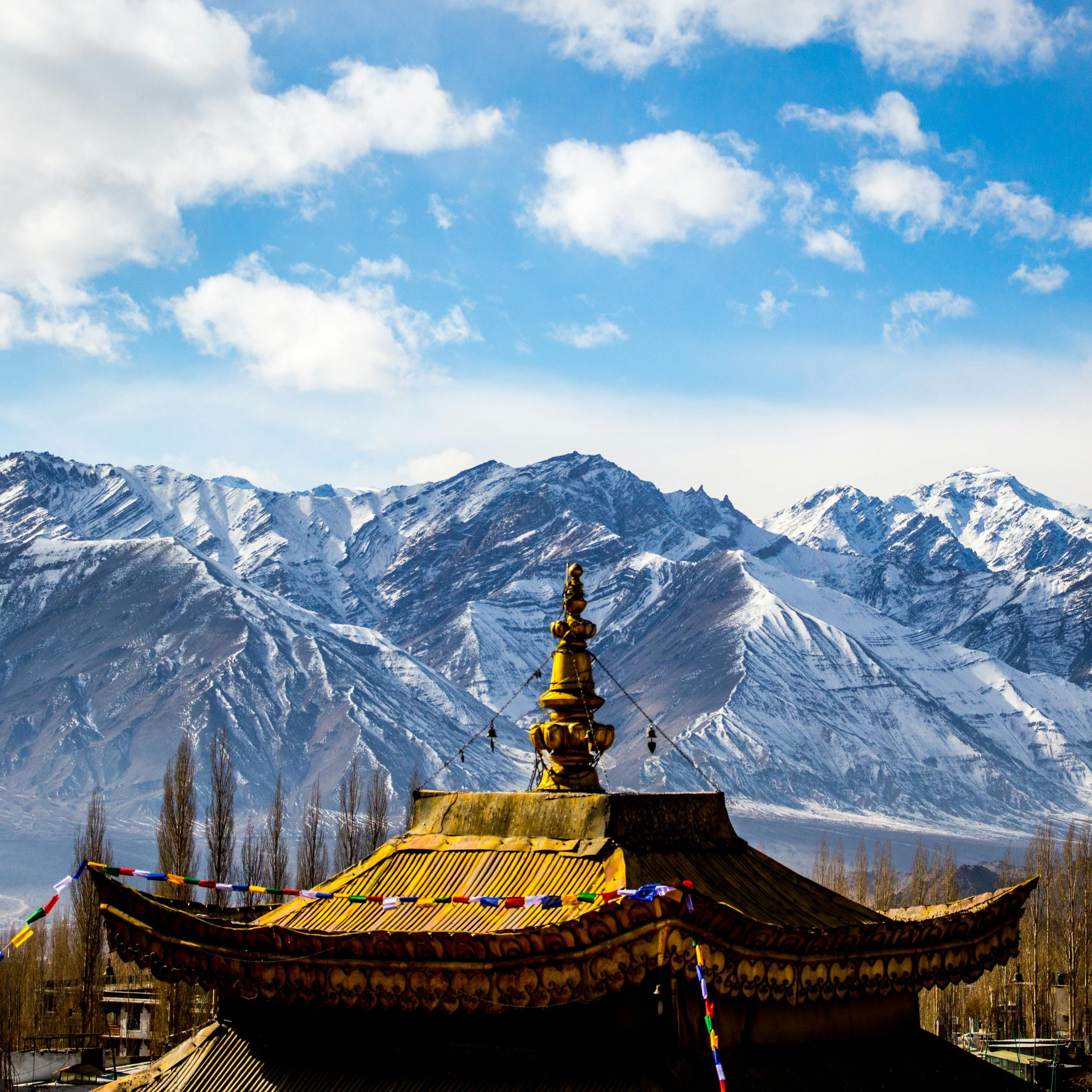Ladakh Cab