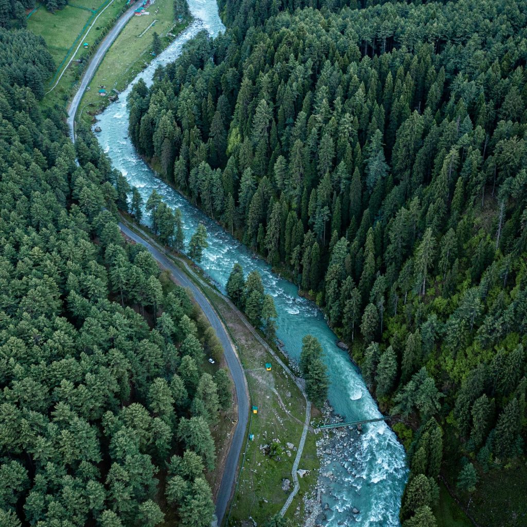 Kashmir in May