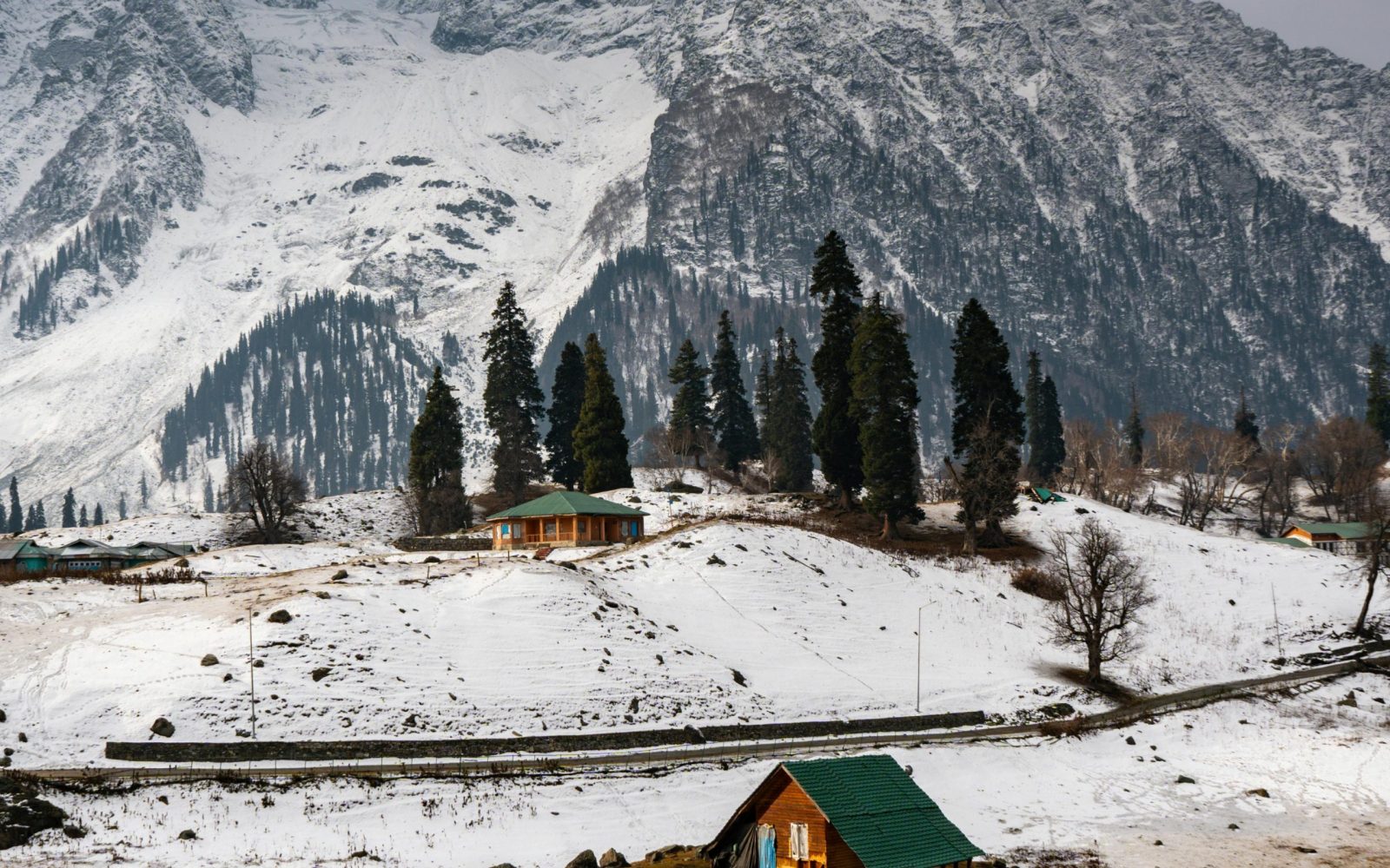pexels-shahfaizanfilms-30092087 pexels-shahfaizanfilms-30092087