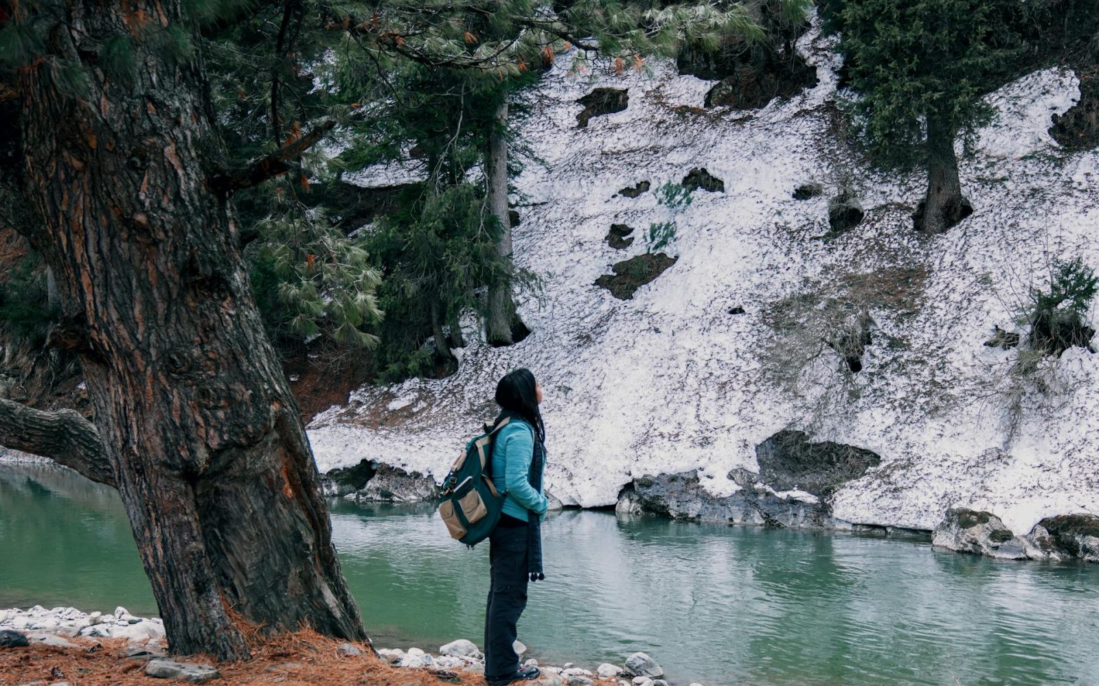 pexels-imadclicks-3974271 pexels-imadclicks-3974271