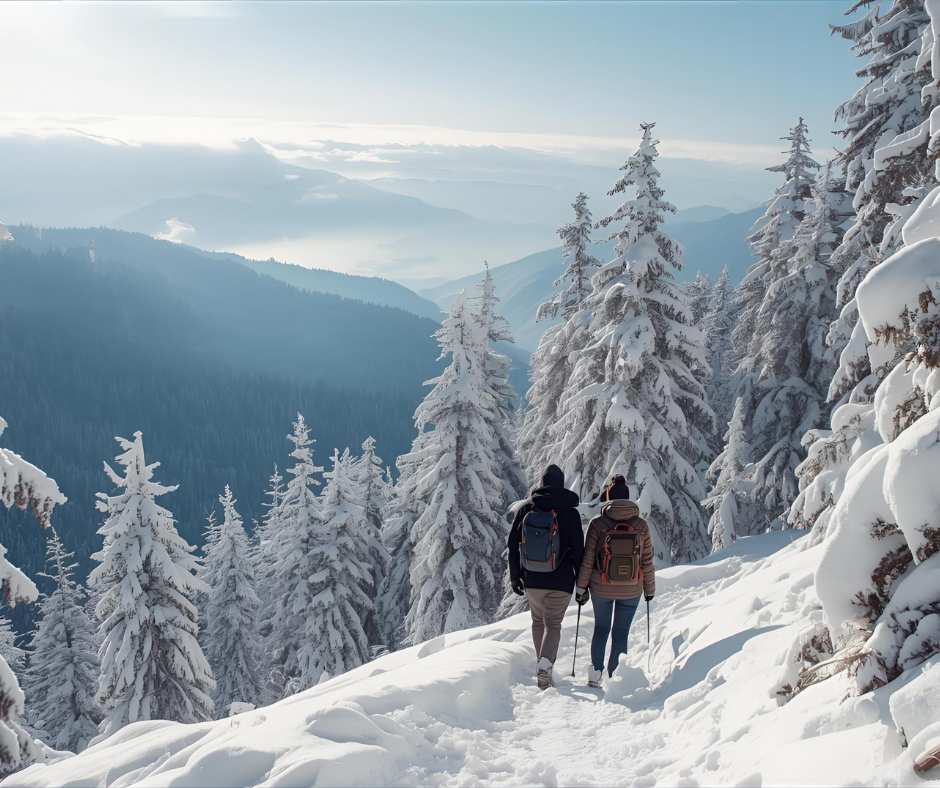Couple trekking through a snowy pine forest in Gulmarg on a Kashmir holiday package