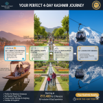 Detailed infographic planner for a 4-day Kashmir trip including hour-by-hour schedule, cost breakdown, packing list, and customization options