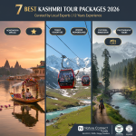 best-kashmir-tour-packages-7-options-2026-nature-connect-travels