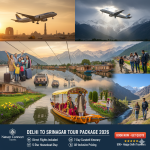 Ultimate Delhi to Srinagar tour package 2026 - Includes flights, houseboat stay, Gulmarg Gondola, Dal Lake Shikara ride, Mughal Gardens & Pahalgam trekking - All-inclusive Kashmir holiday from Delhi