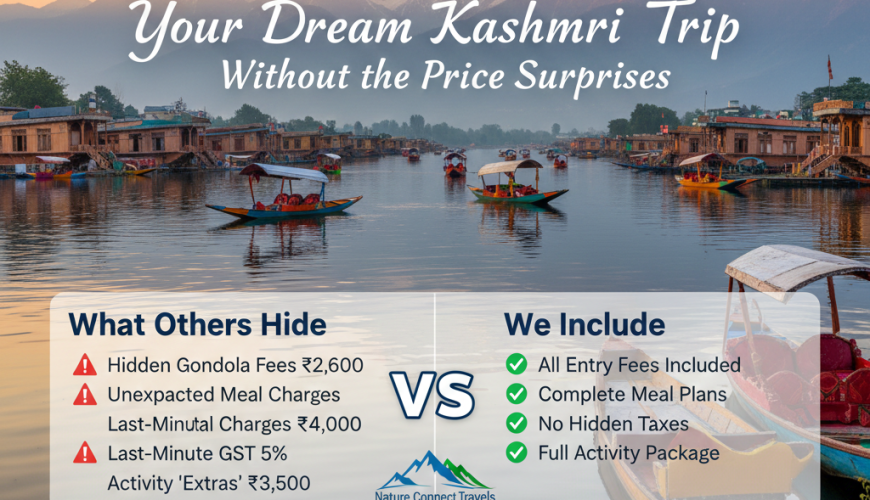 Kashmir tour package price comparison infographic - transparent pricing vs hidden costs with Nature Connect Travels