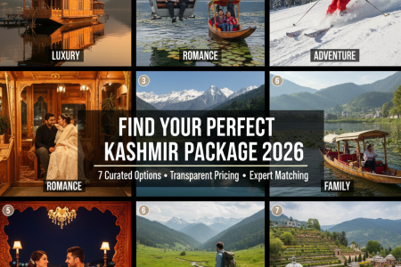 7 best travel packages for Kashmir 2026 - Luxury, Romance, Family, Adventure, Honeymoon, Nature, and Culture package types visualized