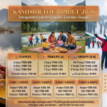 Kashmir tour price 2026 comparison infographic
